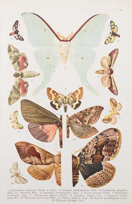 Ламперт К. Атлас бабочек и гусениц Европы и отчасти русско-азиатских владений. СПб.: Изд. А.Ф. Девриена, 1913.